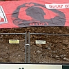 21.2.2015  FC Rot-Weiss Erfurt- VfL Osnabrueck  3-1_40